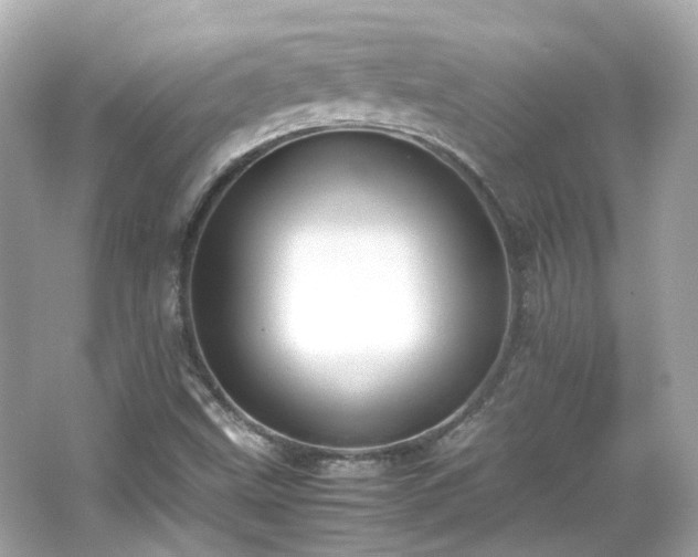X0000066501499200603201309