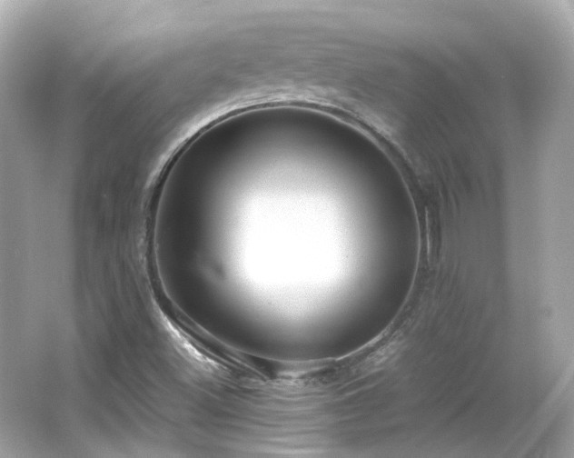 X0000066501500200603201309