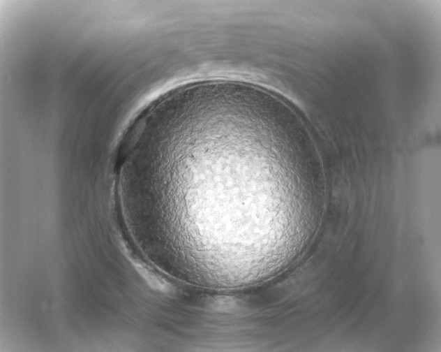 X0000066501507200603201309