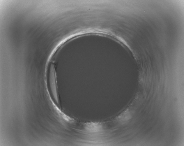 X0000066501508200603201309