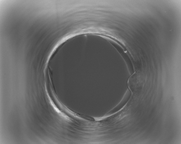 X0000066501515200603201309