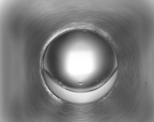 X0000066501520200603201310
