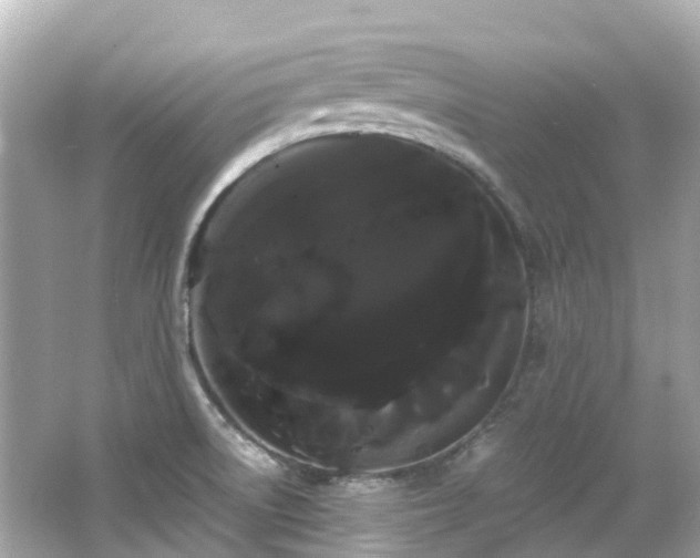 X0000066501522200603201310