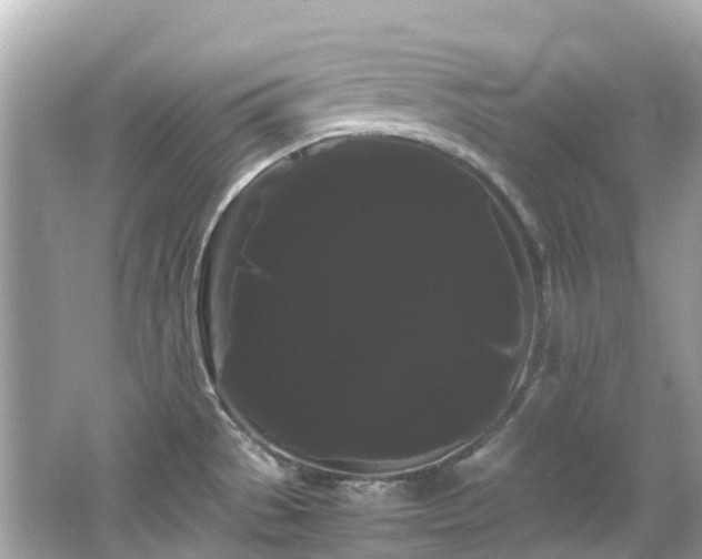 X0000066501529200603201310