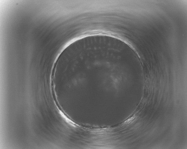 X0000066501535200603201310