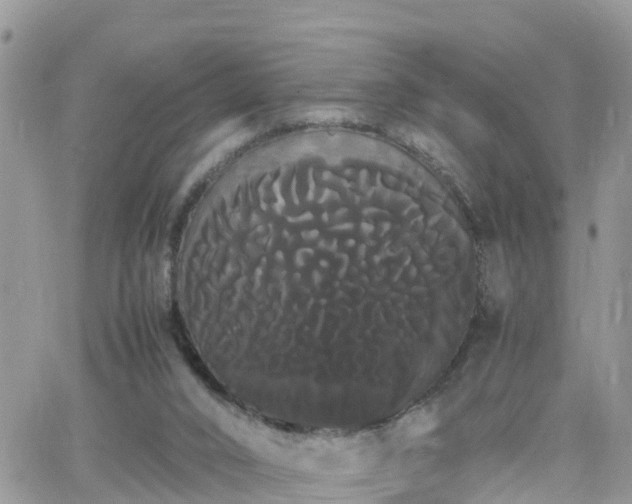 X0000066500016200603241253