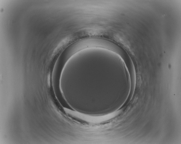X0000066500019200603241253