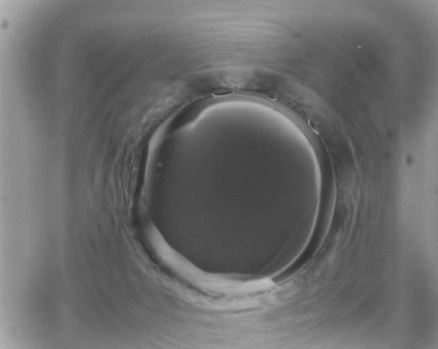 X0000066500031200603241253