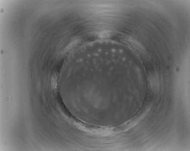 X0000066500032200603241253