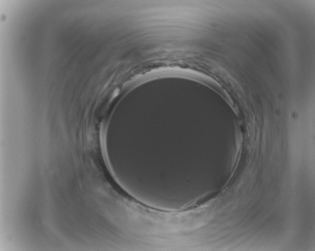 X0000066500035200603241253