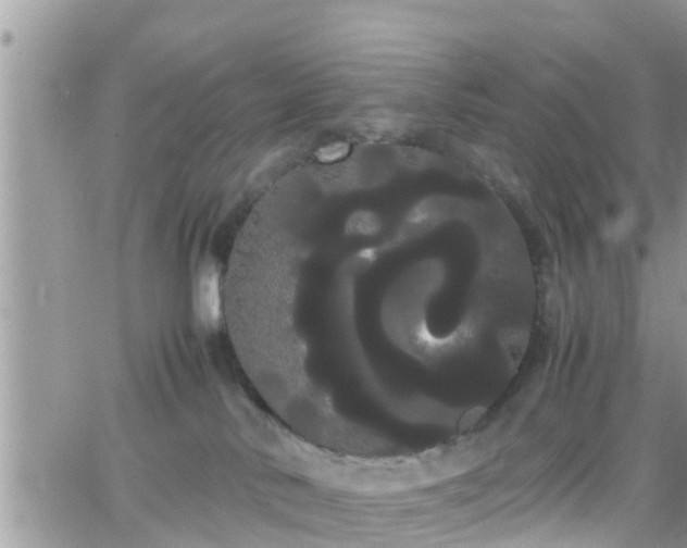 X0000066500042200603241252