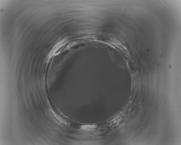 X0000066500051200603241252