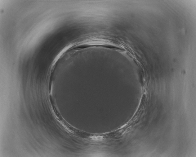 X0000066500052200603241252
