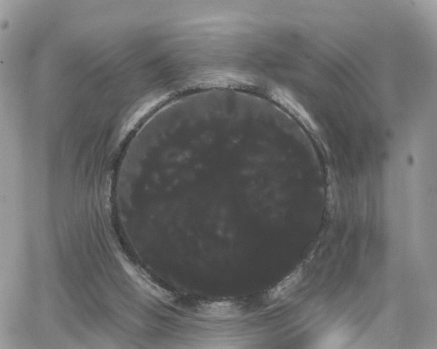 X0000066500058200603241252