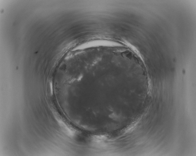 X0000066500061200603241252