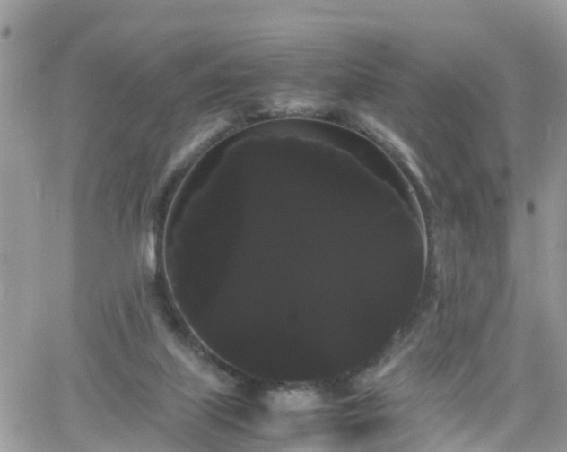 X0000066500067200603241252