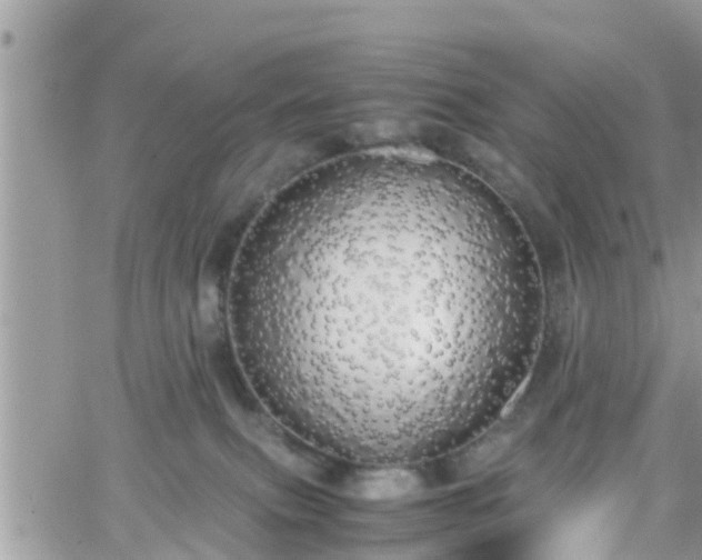 X0000066500087200603241252