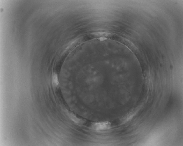 X0000066500089200603241252
