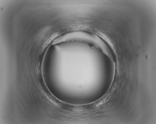 X0000066500105200603241251