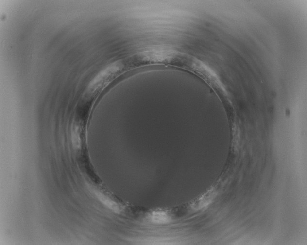 X0000066500114200603241251