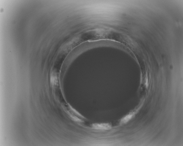 X0000066500137200603241251