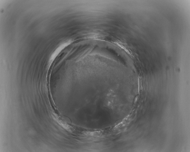 X0000066500147200603241250