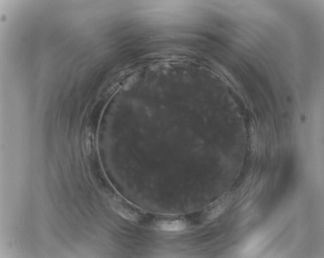 X0000066500169200603241250