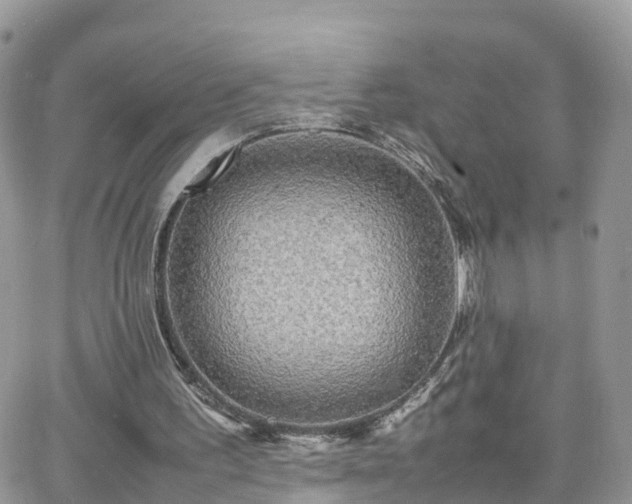 X0000066500195200603241250