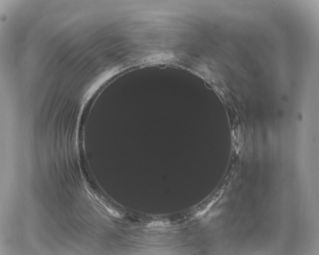 X0000066500196200603241250
