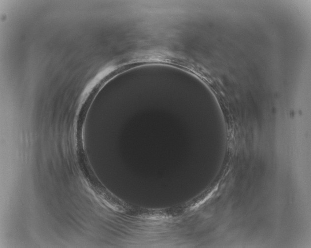 X0000066500200200603241250