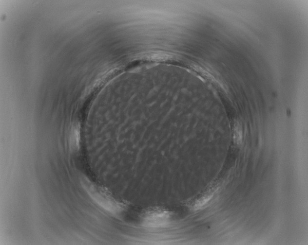 X0000066500206200603241250