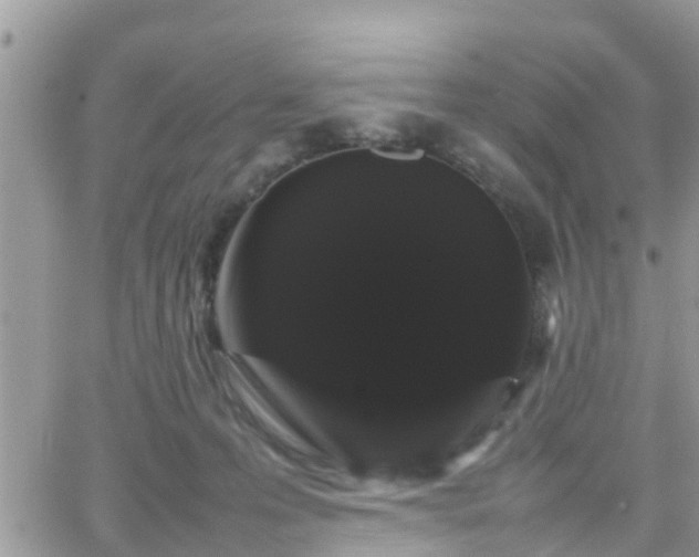 X0000066500223200603241250