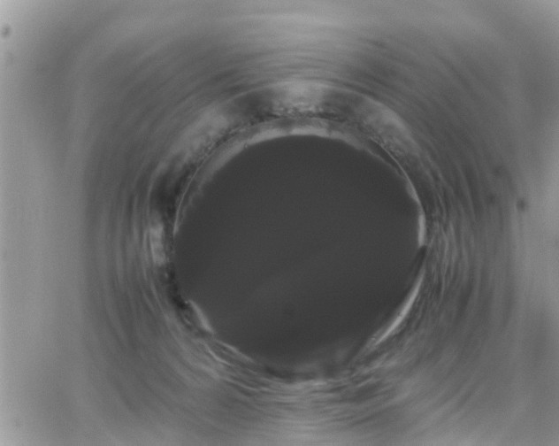 X0000066500224200603241249