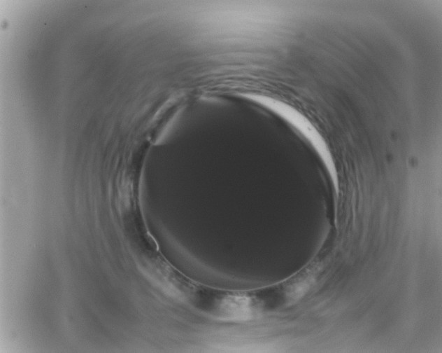 X0000066500227200603241249