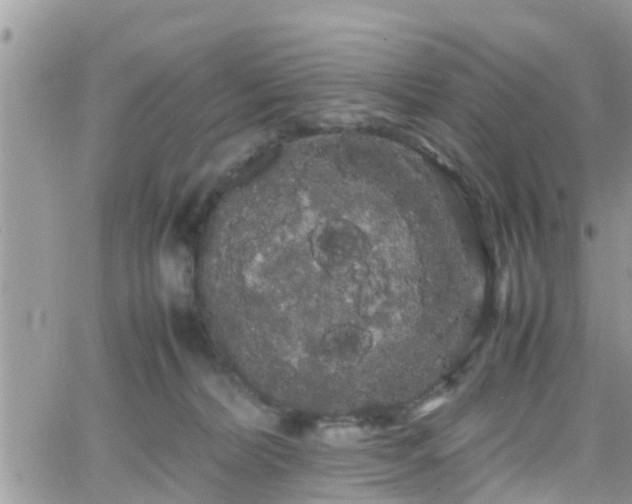 X0000066500228200603241249