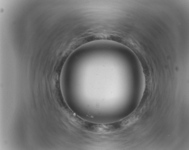 X0000066500229200603241249