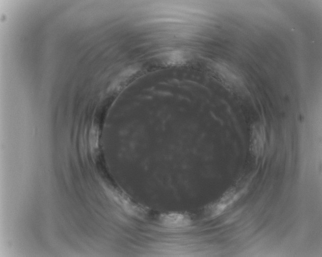 X0000066500230200603241249