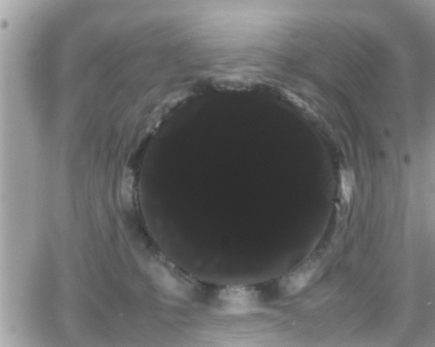 X0000066500231200603241249