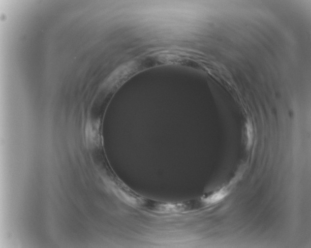 X0000066500239200603241249