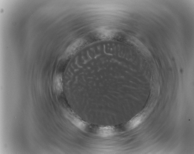 X0000066500240200603241249