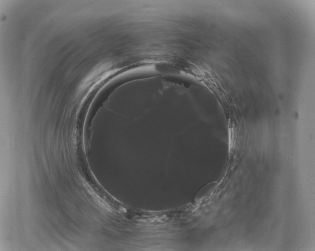 X0000066500243200603241248
