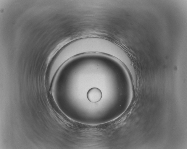 X0000066500244200603241249