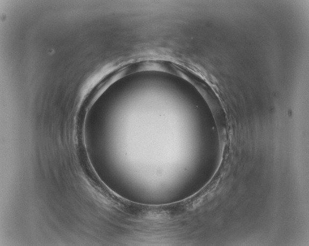 X0000066500248200603241249