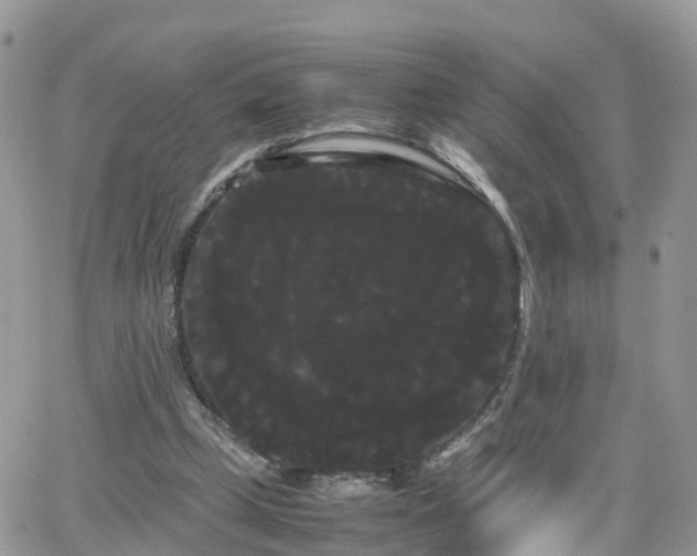 X0000066500249200603241249