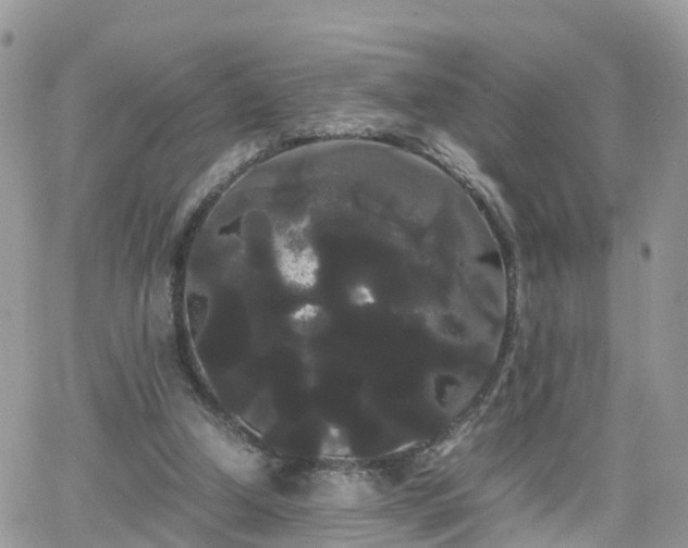 X0000066500250200603241249