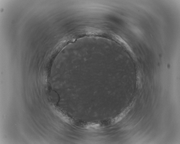 X0000066500257200603241249