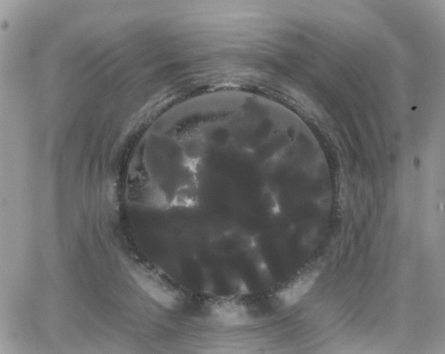 X0000066500258200603241249