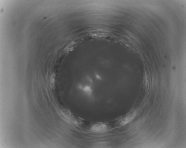 X0000066500271200603241249