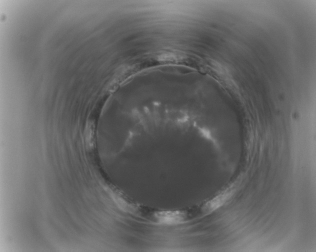 X0000066500273200603241249