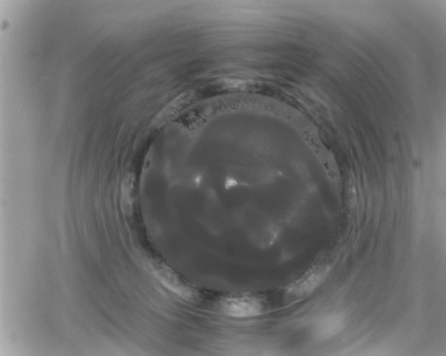 X0000066500275200603241249